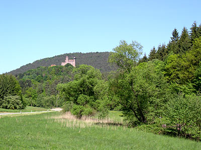 Erlenbachtal mit Blick auf den Berwartstein