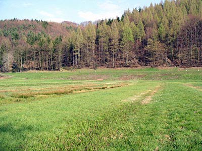 Buckelwiesen im Schwarzbachtal
