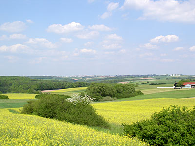 Landschaft bei Bottenbach, im Hintergrund Pirmasens