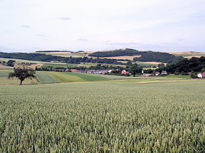 Landschaft bei Limbach