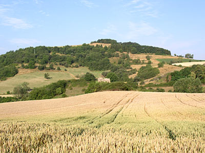 Landschaftsausschnitt bei Niedermoschel mit Ruine Lewenstein
