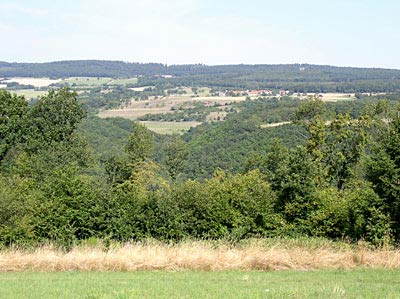 Blick über das Gräfenbachtal auf Oberhub