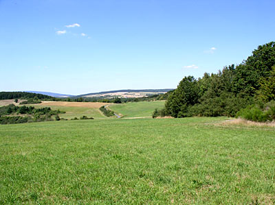 Heckenlandschaft bei Oberhausen