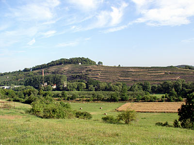 Disibodenberg mit terrassierten Weinbergen 