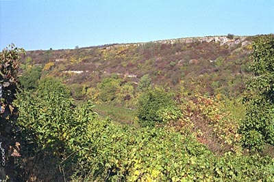 Felsberg