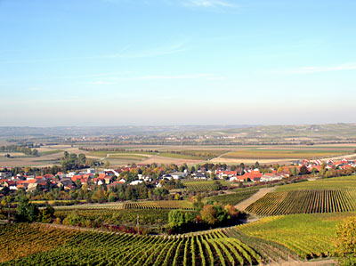 Blick von der Oswaldhöhe über Bornheim