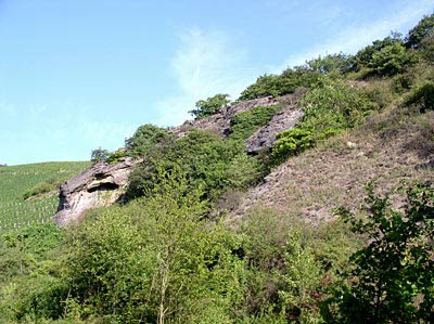 Felsen mit Trockenrasen im Trollbachtal