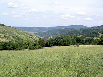 Landschaft bei Oberheimbach