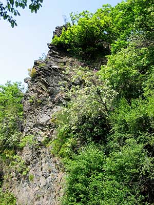 Komplex aus Trockenwald und Felsen