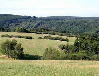 Halboffenland zwischen Pellingen und Steinbachweiher