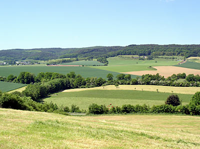 Feldflur auf dem Hetzerather Plateau mit Blick auf den Naurather Forst 