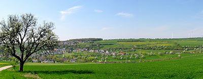 Offene Agrarlandschaft bei Trierweiler