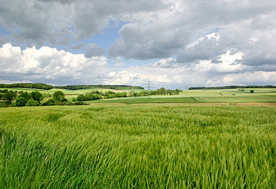 Agrarlandschaft bei Eßlingen