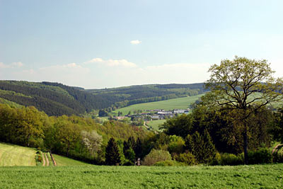 Landschaft bei Winterspelt