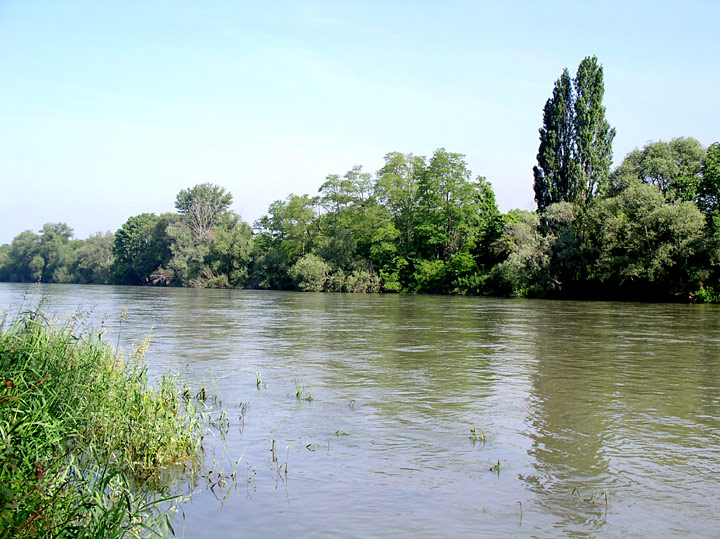 Rheininsel bei Niederwerth