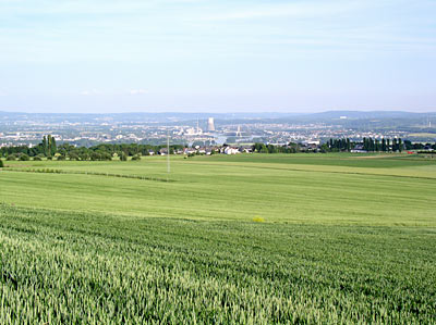 Blick von der Hüllenberger Terrasse auf die Rheintalniederung