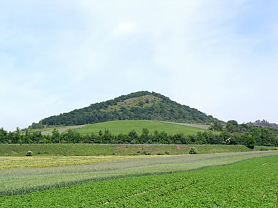 Vulkankuppe Michelberg