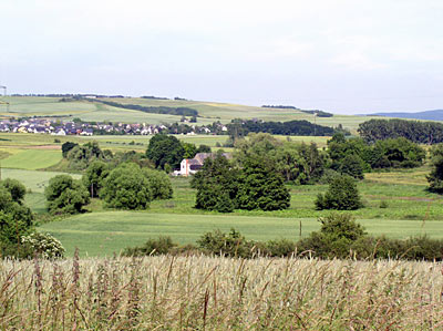 Landschaft zwischen Rüber und Gappenach