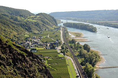 Rheintal bei Hammerstein mit Rheininsel Hammersteiner Werth