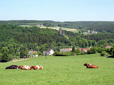 Holzbachtal mit Burg Reichenstein