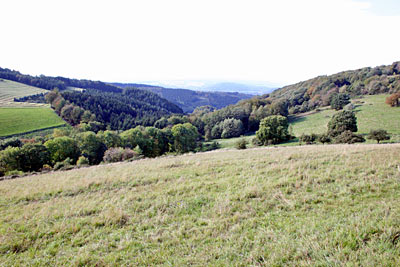 Blick über die zertalte Hochfläche Richtung Rheintal