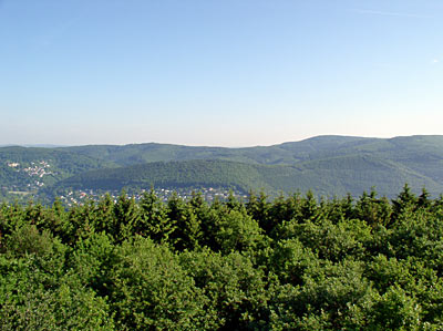 Blick auf den Giebelwald